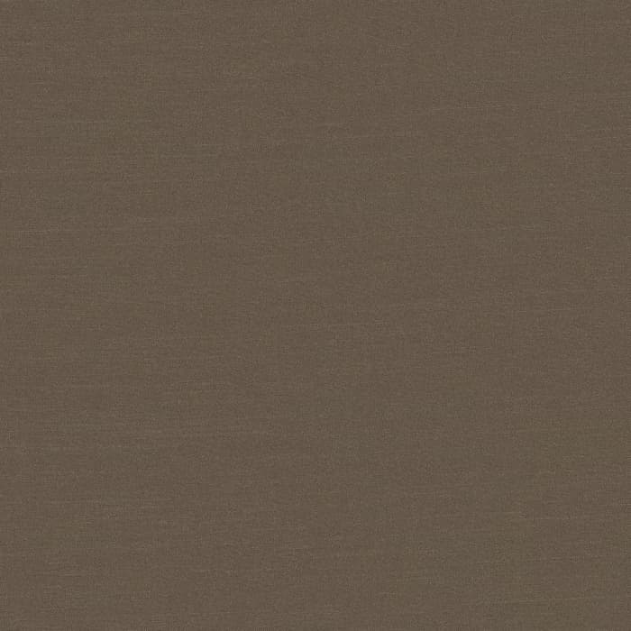 Ayano CV Carob Chips